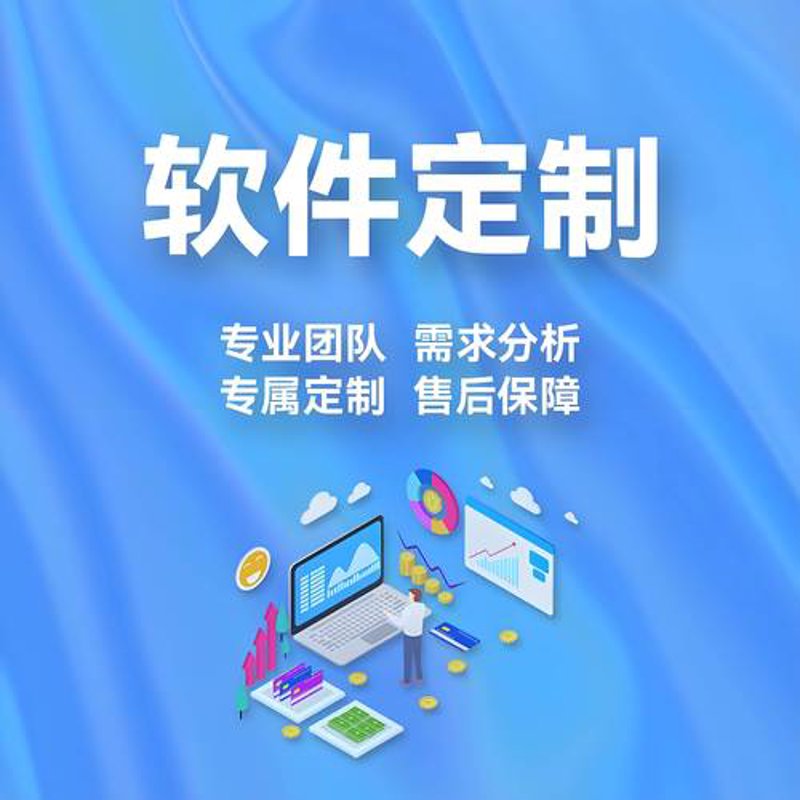 系统集成：数字时代的桥梁